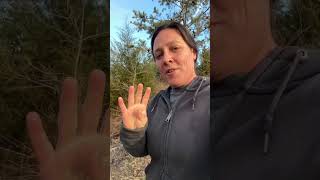 There’s always room for improvement #truegritappalachianways