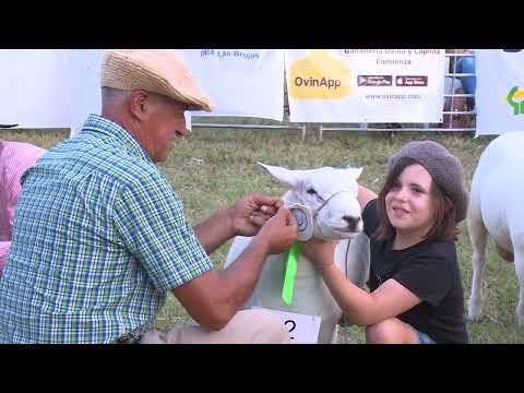 Un gran marco de público acompañó la quinta edición del Encuentro del Ovino y la Granja