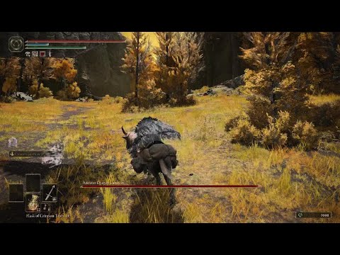 Where To Find Gelmir Hero's Grave | Elden Ring