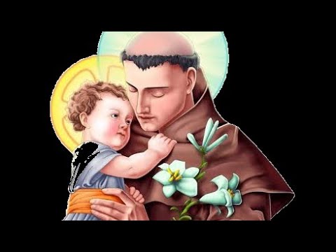 O EVANGELHO DO DIA 13/06/2020