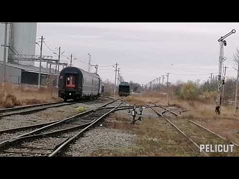 Concert de goarne /Horns concert #23