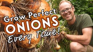 Grow Perfect Onions - Every Time!