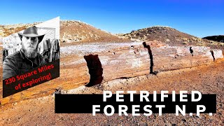 Petrified Forest National Park