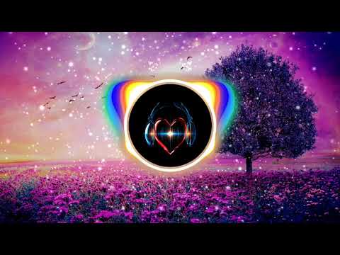糯米nomi - 调查中 《放弃 规则后 世俗再指责》 【动态歌词Lyrics】