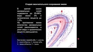 Понятие здоровья, адаптации, болезни, этиология, патогенез, синдром, симптом,