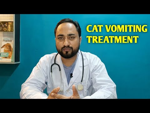 #catvomiting #cathealth #homeremedies Vomiting in cats treatment || Home remedies for cat vomiting