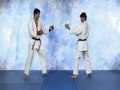 Machida Karate for MMA Volume 1