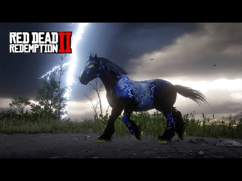 Taming the THUNDER HORSE - The Horse Collector - ep 24