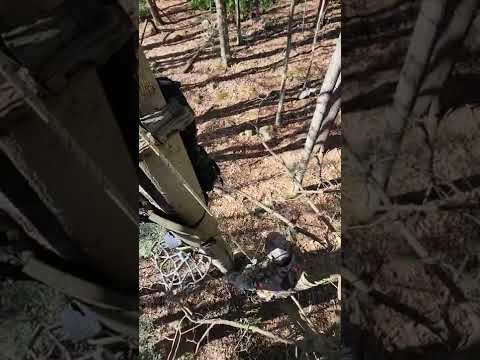 EASIEST Way To Get Rappel Rope Out Of Tree While One Sticking!! ONE STICK SADDLE HUNTING!! #shorts