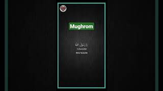 Download lagu Mughrom • Sholawat Nabi Rindu Nabi Muhammad Saw #sholawat #sholawatmerdu #sholawatnabi #storywa mp3