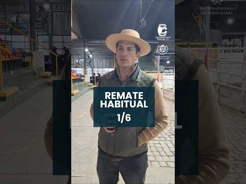 Remate habitual 1/6/2026.