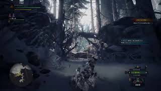 MHWアイスボーン耐久プレイ