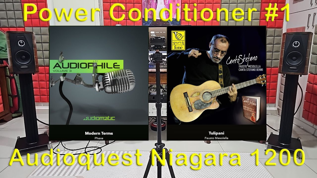 Power Conditioner #1 : Audioquest Niagara 1200