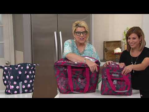 California Innovations 4 pc Thermal Insulated Bag & Tote Set on QVC