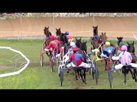 Fehraltorf/17.04.2017/Preis Vin Vaudois Bei WeinArt Zurich