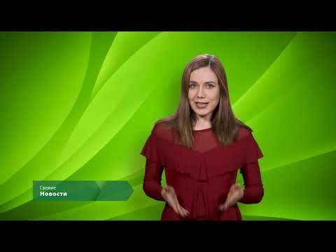 ЭкоНовости. Свежие новости. Где узнать о состоянии столичной экологии