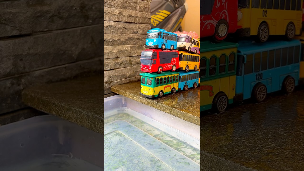 Tayo the Little Bus #toys #tayo #shorts