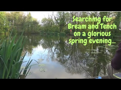 Love for the lift method! Searching for Bream and Tench on a scenic pond