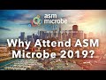 ASM Microbe's video thumbnail