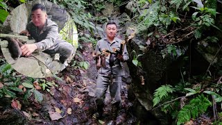 Day 7 of survival in the forest, Create bamboo traps to trap mice for food./TươngTònHào