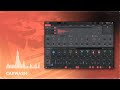 Video 2: Overview