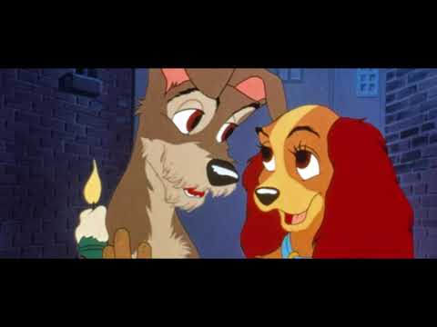 Miły mo - zakochany kundel prod. Gerrauex