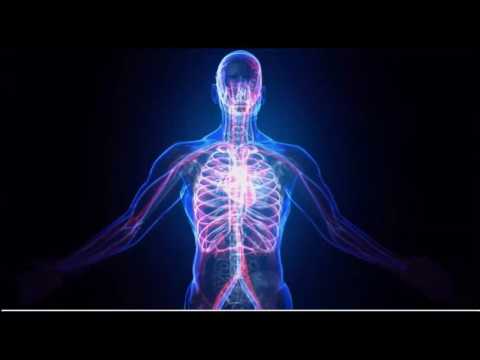 2017 05 14 AM Public Teaching in Vietnamese - Buổi giảng công cộng bằng tiếng Việt