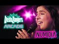 Jackson's Reaction to NUMIDIA | Arcade [Beste Zangers]