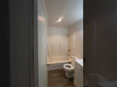 LH217 - Video 2 of 2