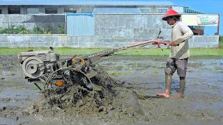 Proses Traktor Terakhir Pengolahan Tanah Menggaru Lahan Padi Sampai Halus Rata