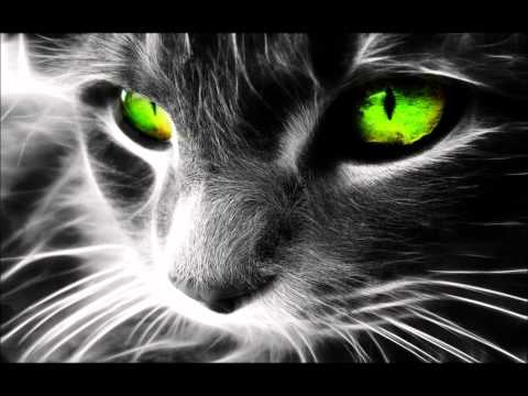 A new mix 2012 (dj Stev)