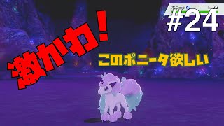 【ポケモンソードシールド #24】ビートよ！こんな可愛いポニータを持ってるなんて！【ゲーム実況】