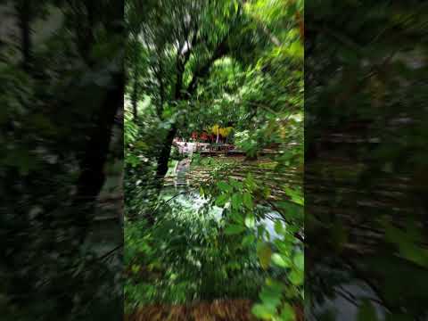 Rio Azuis-TO, menor rio da América latina e segundo menor rio do mundo. #desbravadores #nature #diy