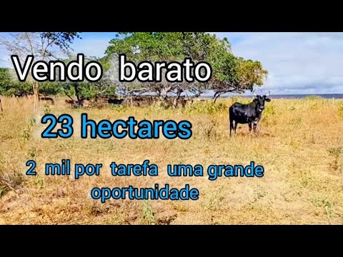Vendo barato 2 mil reais por tarefa sua grande oportunidade 8799102 3154 
