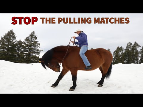 STOP PULLING ON YOUR HORSES MOUTH/LEANING ON THE BIT