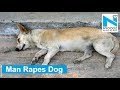 Man Rapes Dog Forces It Into Performing Oral Sex In Mumbai