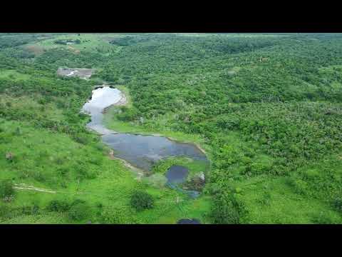 Imagem  Aeria Sobre o Rio do Quatis Em PiritIba Bahia