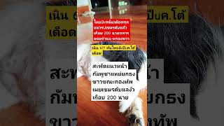 Download lagu #remix #dj #edm #music #sound #automobile #plants #colonelkkjϟ #thaifood #mindset mp3 Download lagu #remix #dj #edm #music #sound #automobile #plants #colonelkkjϟ #thaifood #mindset mp3