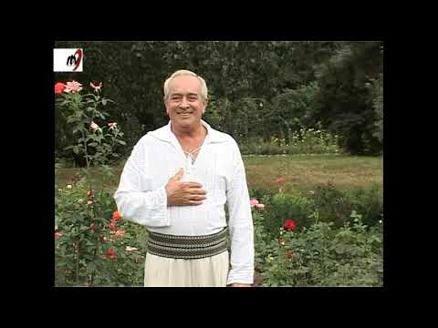 Nelu Balasoiu -  Dusei calul pe islaz