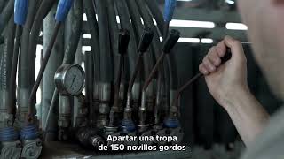 Tru-Test Olavarría XR5000