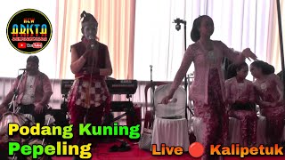 Download lagu Podang Kuning 🟨 Pepeling 🟦 New Arista Music 🟪 Banjarnegara 🟥 Live 🔴 Kalipetuk , Wonoharjo mp3