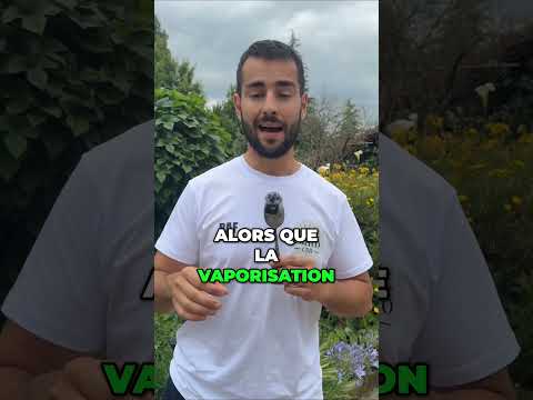Fumer du CBD, c’est dépassé