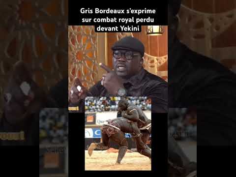 Gris Bordeaux retrace son combat contre YEKINi #lamb #duo #seneweb