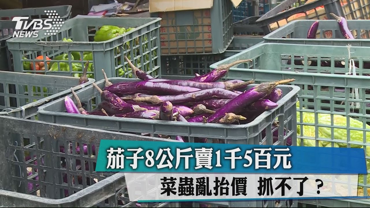 茄子8公斤賣1500元　菜蟲亂抬價抓不了？