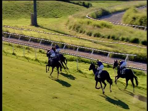 Galoppo 01/06/2018 - 5ª corsa