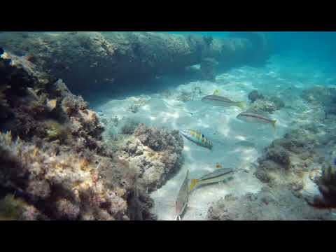 2020 0624 134318 008A