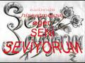 aySun SeNi SeviyoRum 