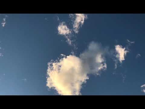 Canto d’Amore e Fantasia