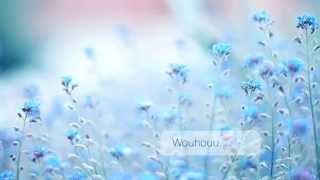 Broken Back - Seven Words [Lyrics Video]