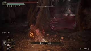 [白虹GAMES]ELDEN RING[Shadow of the erdtree]#3